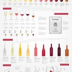 Basic Wine Guide
