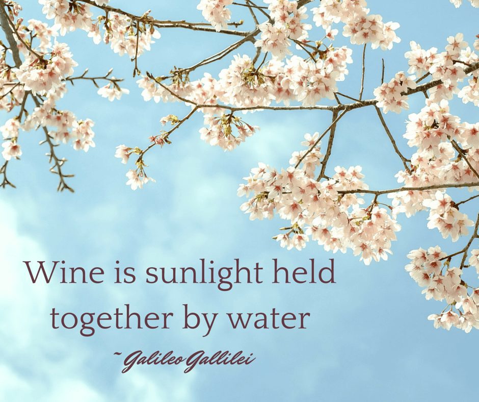 May Wine May wine